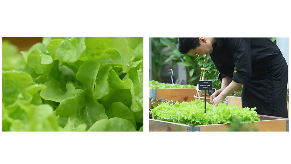 How Do Chefs Blog Banner (11)