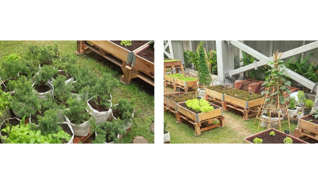 How Do Chefs Blog Banner (9)