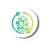 Second life award icon